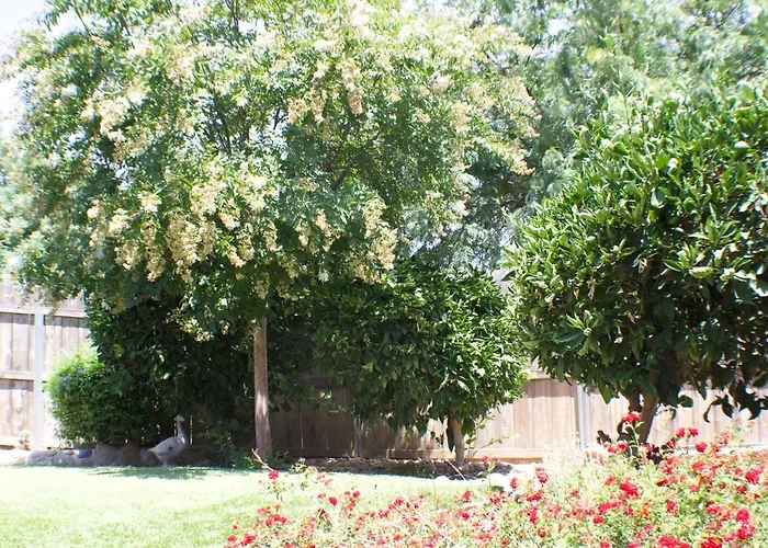 Gateway Retreat: Short Drive To The Sequoias
