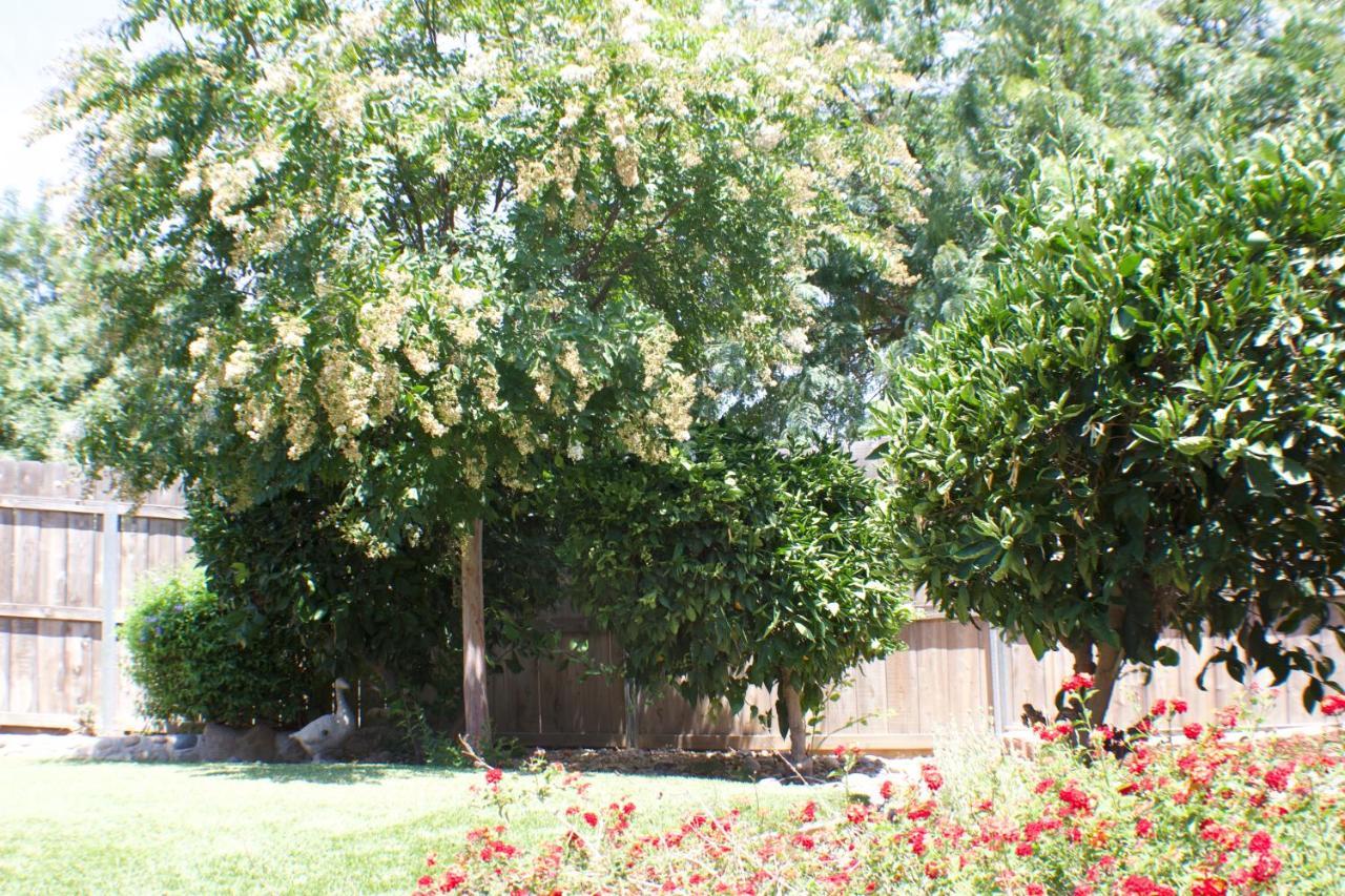Gateway Retreat: Short Drive To The Sequoias Villa *